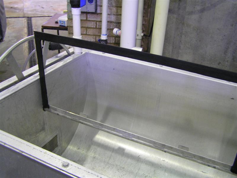 P3150010 (Medium).JPG