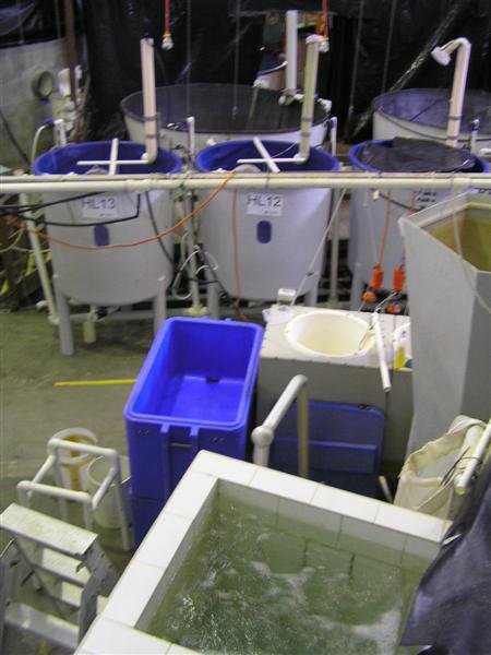 P3150019 (Medium).JPG