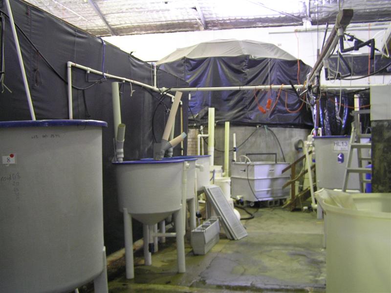 P3150021 (Medium).JPG