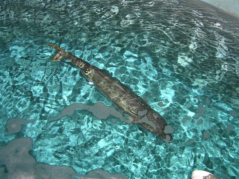 P3150018 (Medium).JPG