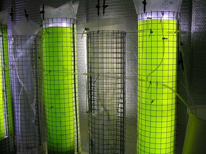 P3150028 (Medium).JPG