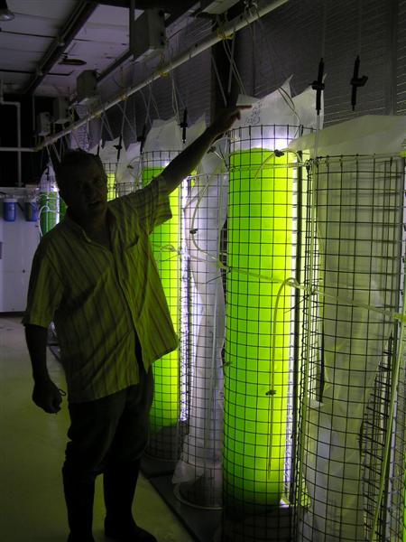 P3150024 (Medium).JPG