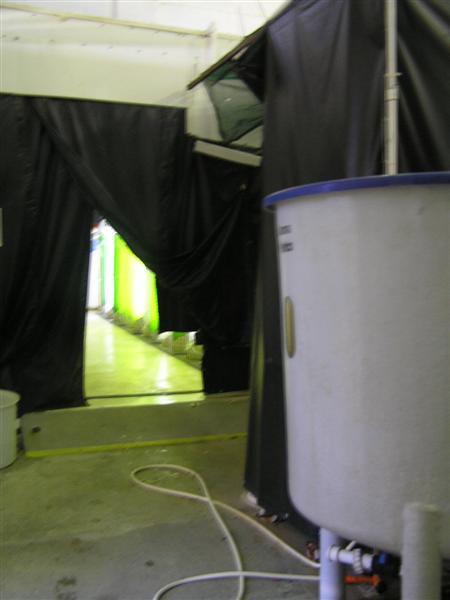 P3150020 (Medium).JPG