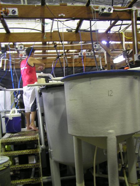 P3150029 (Medium).JPG