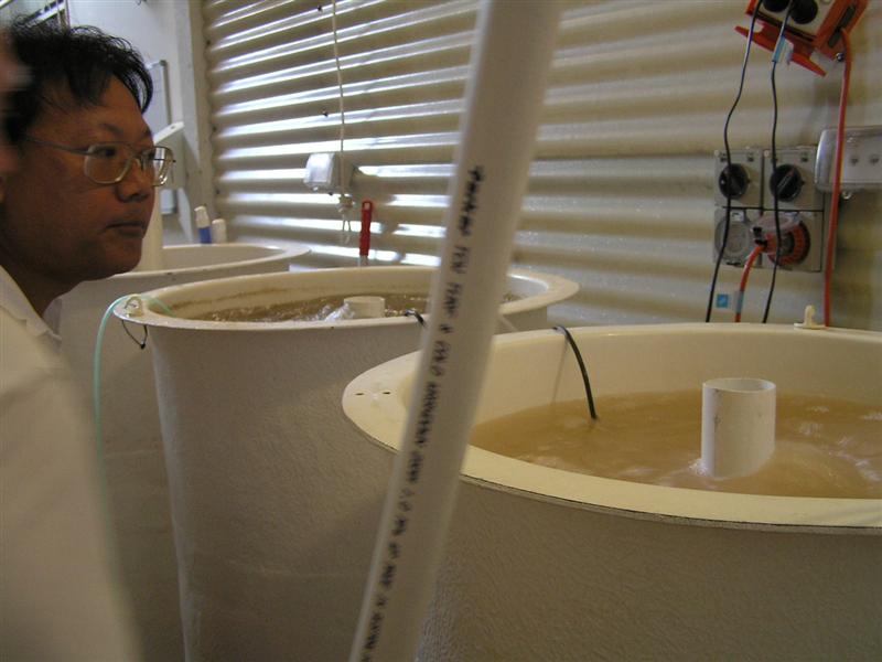 P3150039 (Medium).JPG