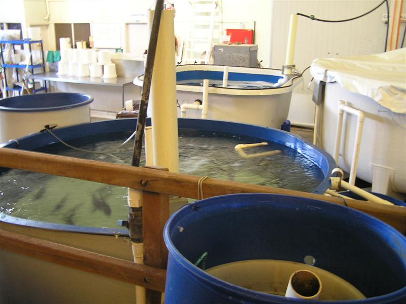 P3150038 (Medium).JPG