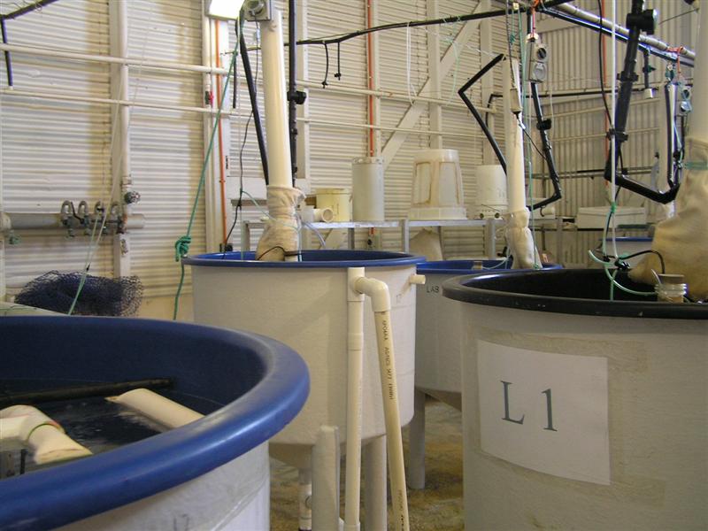 P3150040 (Medium).JPG