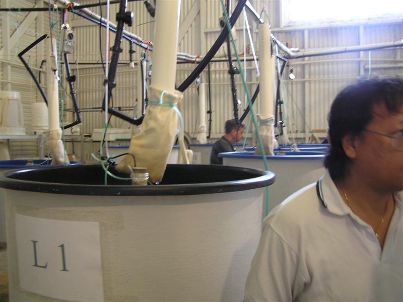 P3150041 (Medium).JPG