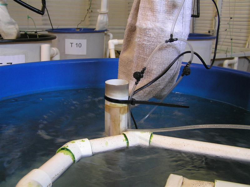 P3150042 (Medium).JPG