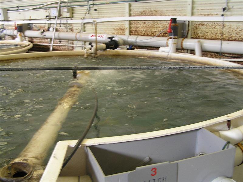 P3150043 (Medium).JPG