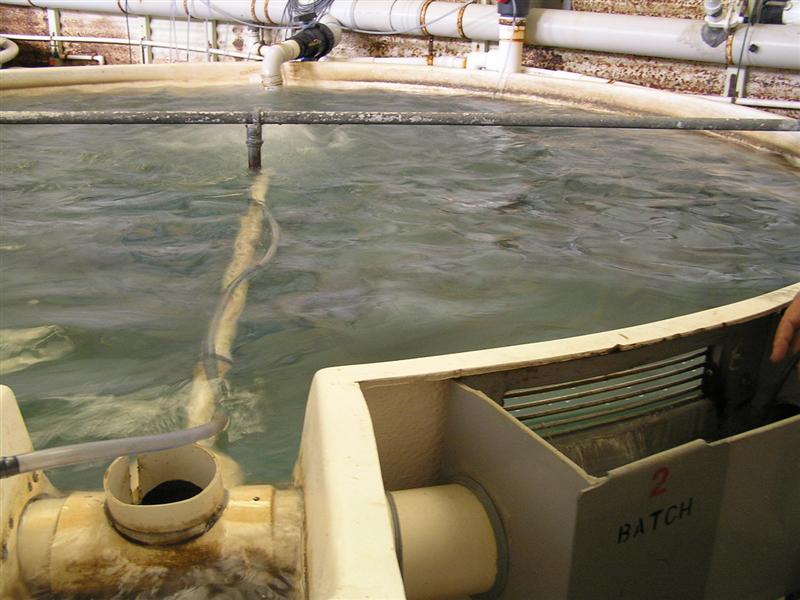 P3150048 (Medium).JPG