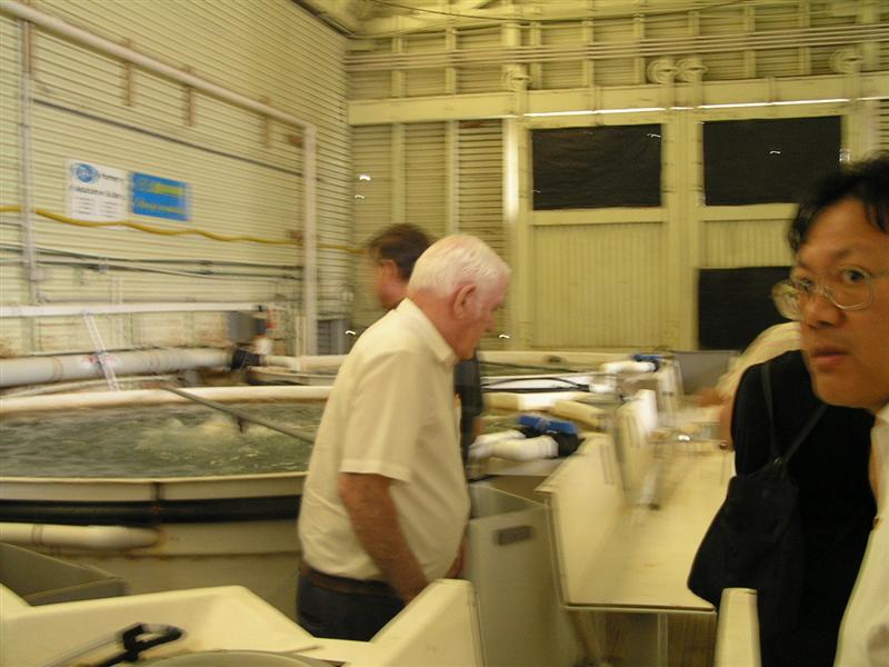 P3150055 (Medium).JPG