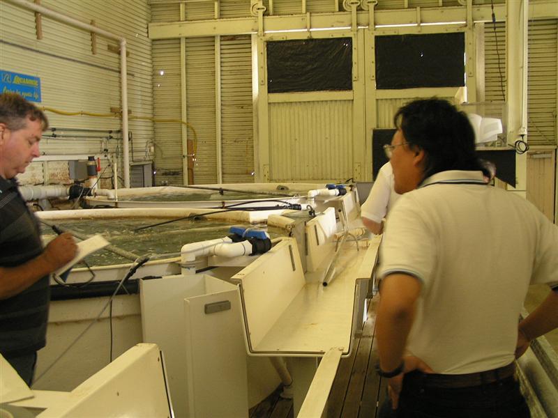 P3150056 (Medium).JPG