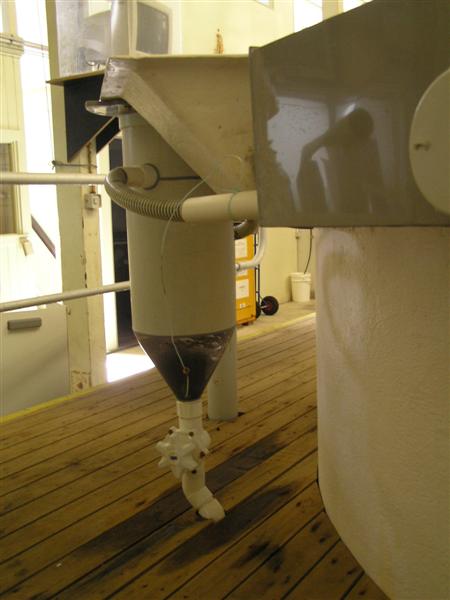 P3150057 (Medium).JPG