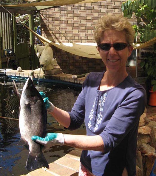 Barra for table2 .jpg