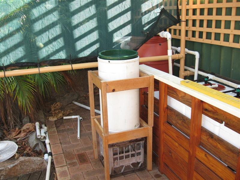 vert NFT (Medium).JPG