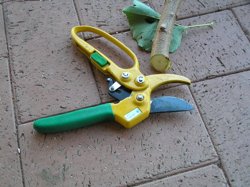 Pruners 002.JPG