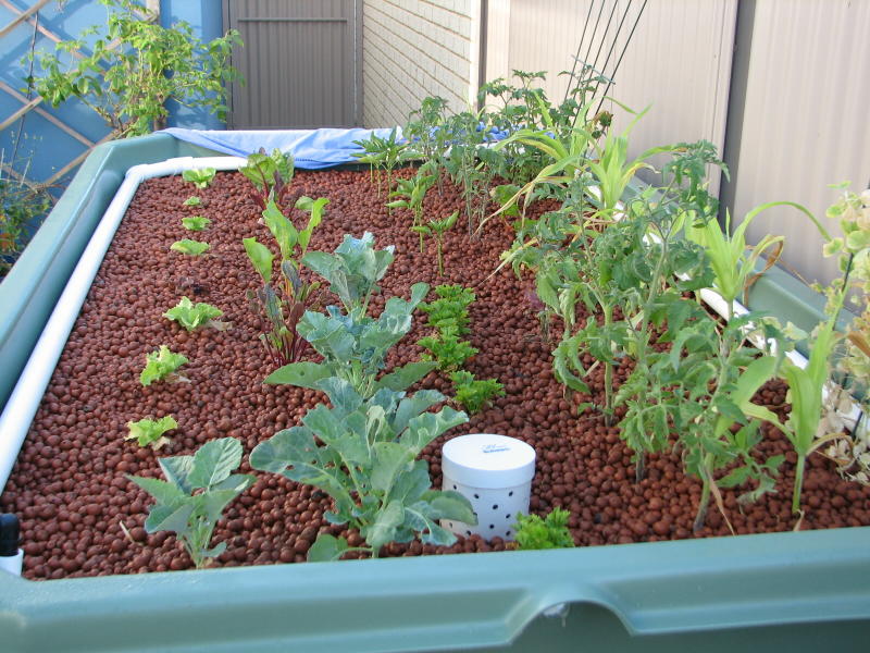 20090328_IMG_0553 - resized.JPG