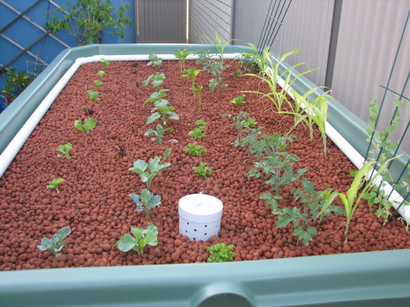 20090226_IMG_0546 - resized.JPG