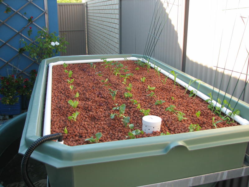 20090201_IMG_0543 - resized.JPG