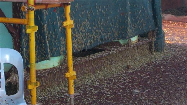 100_0472 (Small).JPG