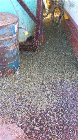 100_0481 (Small).JPG