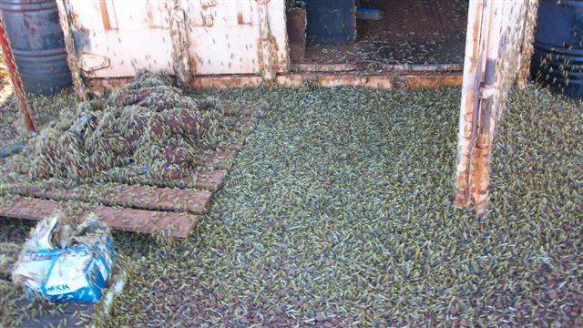 100_0485 (Small).JPG