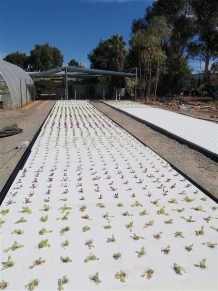 P4040004 (Medium).JPG