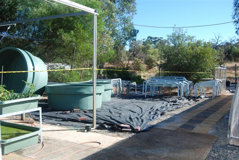 DSC_0059 (Medium).JPG