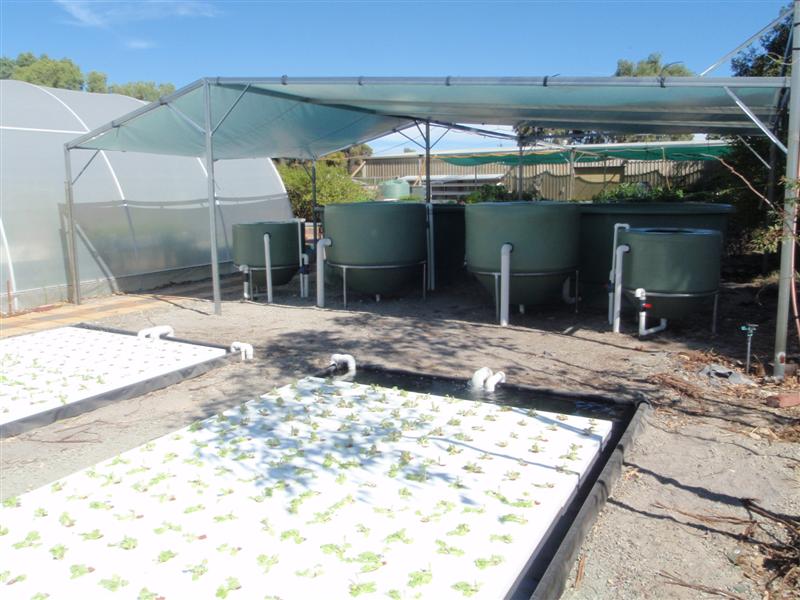 P4040029 (Medium).JPG