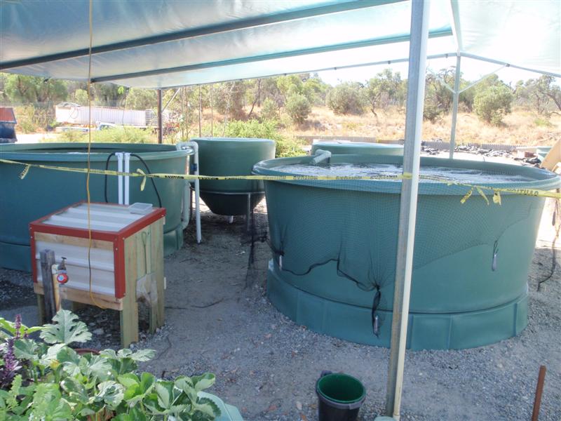 P4040020 (Medium).JPG