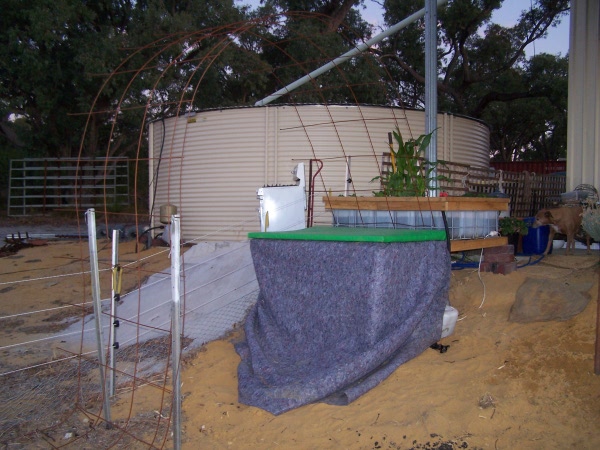 GB Trellis 4-4-09.jpg