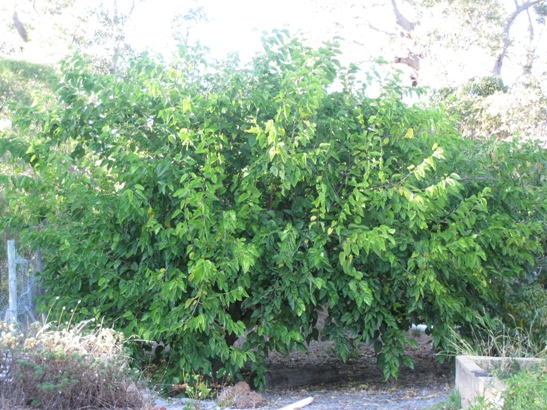 byap photos5-4-09 028.JPG