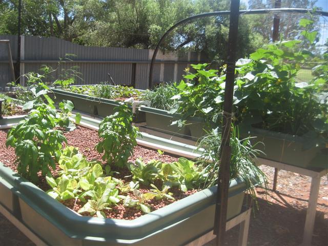 fish 082 (Small).jpg