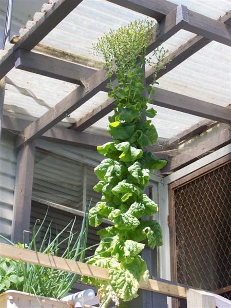 100_2128 (Medium).JPG