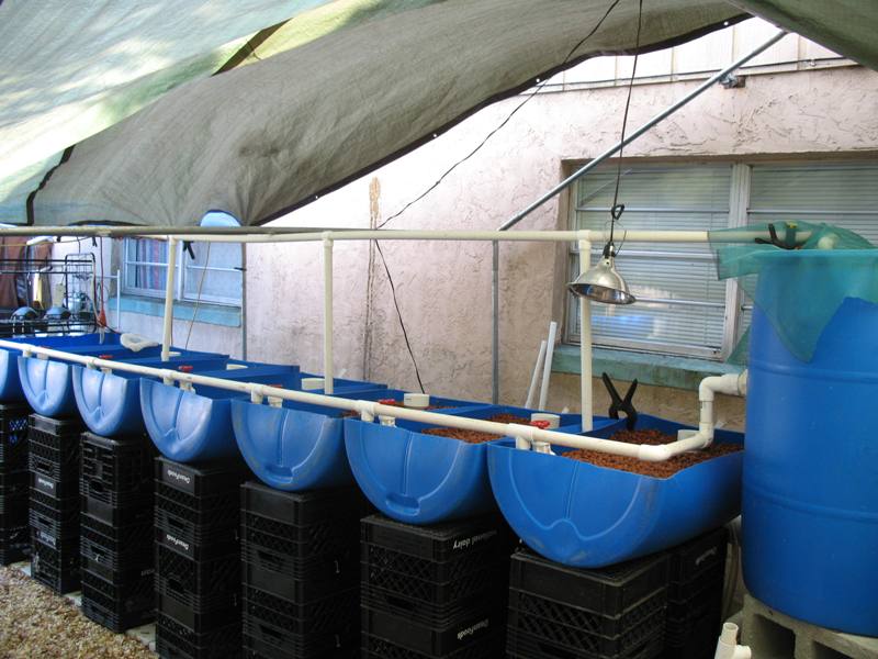 Front Side of Line.JPG