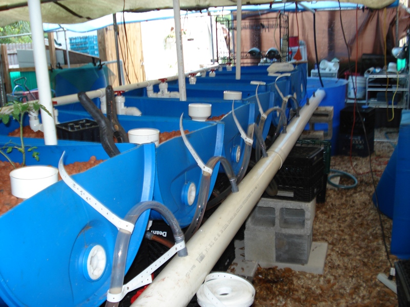 Line of GB's Drain Side.JPG