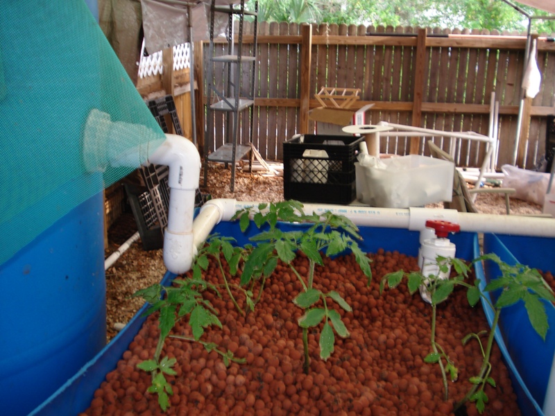 Had to Plant Something.JPG