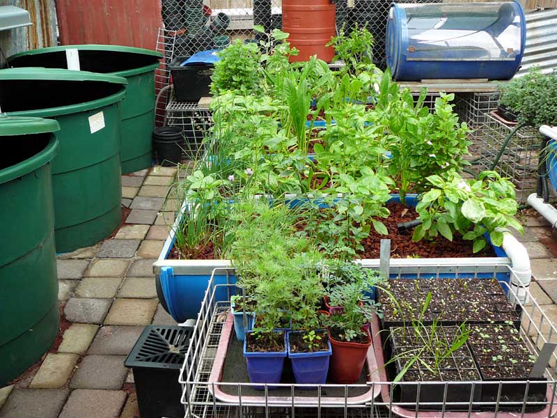 AP6-4-09 016APred.jpg