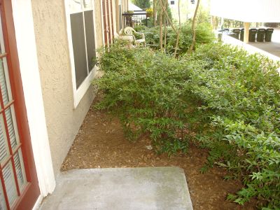 Aquaponics - Outdoor Location - 001.jpg