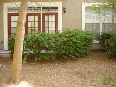 Aquaponics - Outdoor Location - 002.jpg