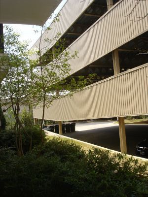 Aquaponics - Outdoor Location - 004.jpg