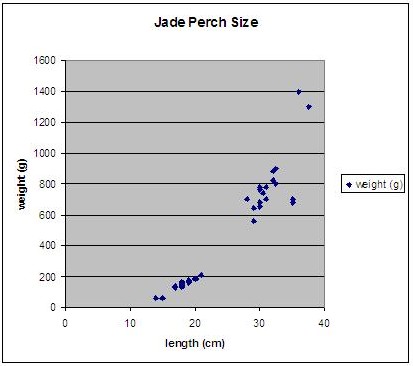 jadechart.JPG