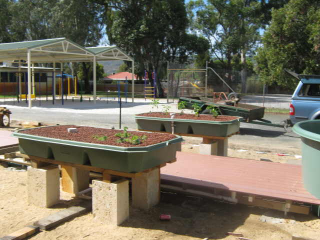 two grow beds 02.jpg