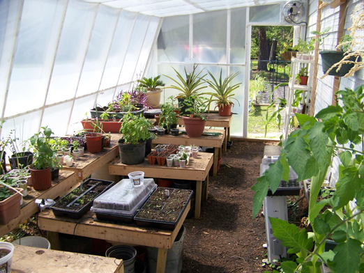 GH 1 Start of system.jpg