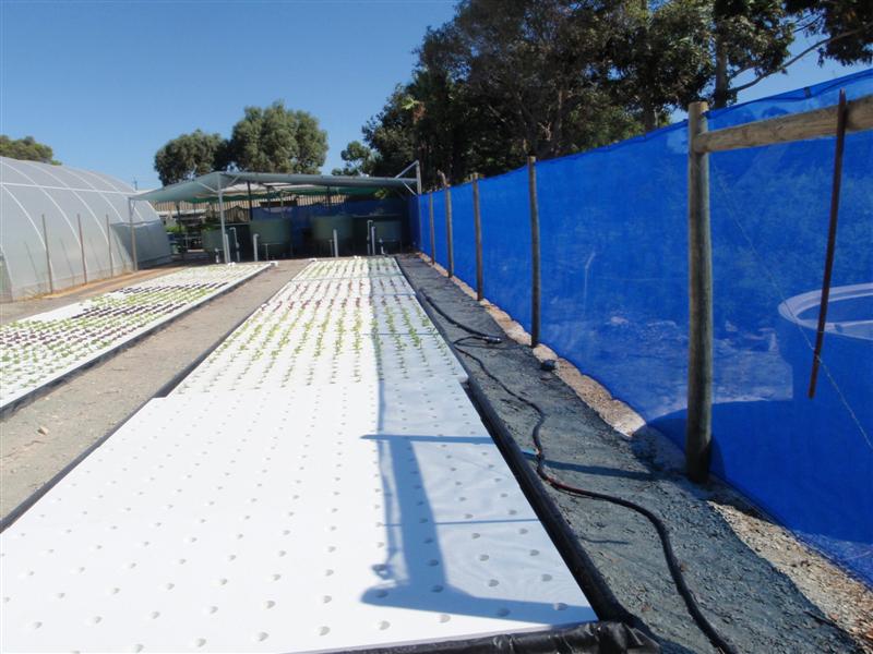 P4120031 (Medium).JPG