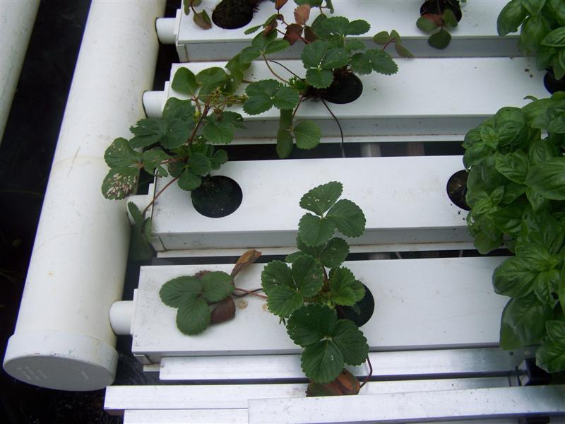 100_2808 (Medium).JPG