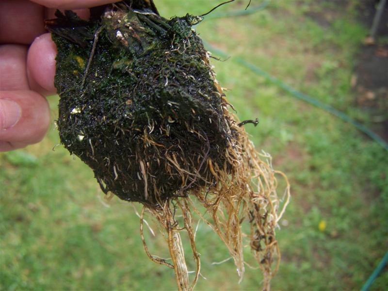 100_2809 (Medium).JPG