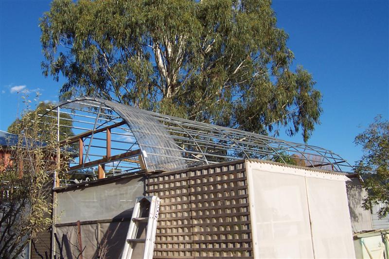 New roof on hothouse 003 (Medium).jpg