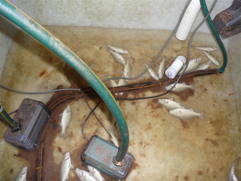 AP-HSM Red_ 14-04-'09 002.jpg